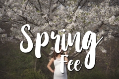 Spring-Session-Fee